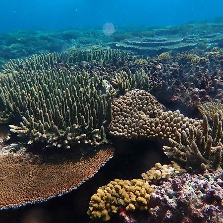 Fiji Lodge Vosa Ni Ua Savusavu Esterno foto