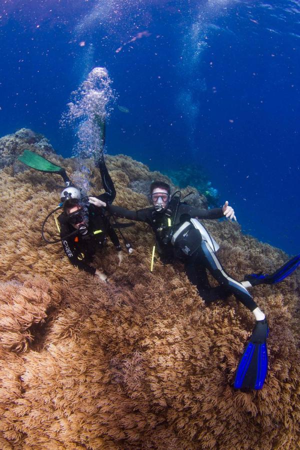 Fiji Lodge Vosa Ni Ua Savusavu Esterno foto